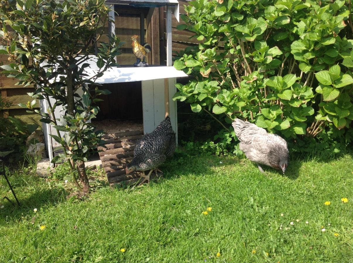 Bed and Breakfast Le Jardin Des Poules Thiétreville Esterno foto