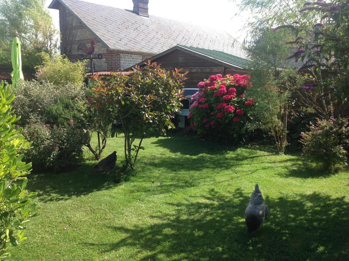 Le Jardin Des Poules Bed and Breakfast Thiétreville Esterno foto